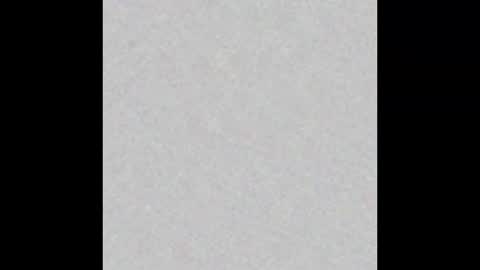 Ely online show from February 2025 11:23:02 AM