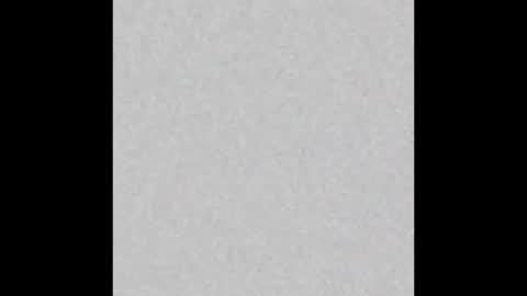 Ely online show from February 2025 11:31:02 AM