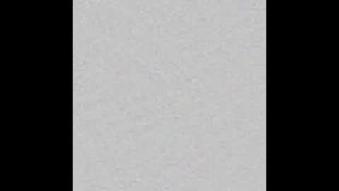 Ely online show from February 2025 11:31:01 AM