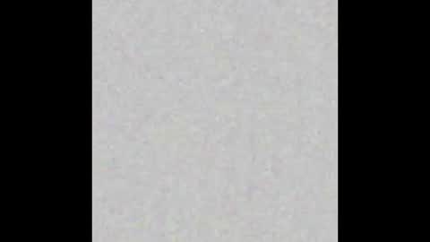 Ely online show from March 2025 11:28:01 AM