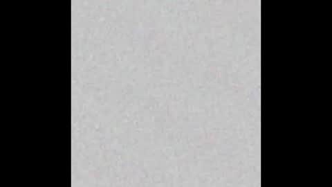 Ely online show from September 2025 11:43:02 AM