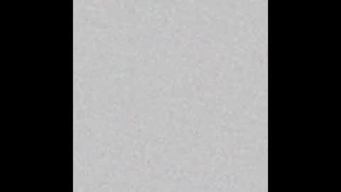 Ely online show from September 2025 11:43:01 AM