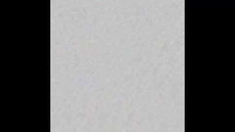 Ely online show from September 2025 11:48:01 AM