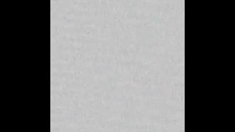 Ely online show from September 2025 11:48:01 AM