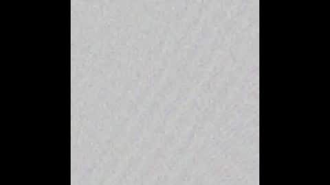 Ely online show from October 2025 11:27:02 AM