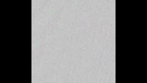 Ely online show from October 2025 11:39:01 AM