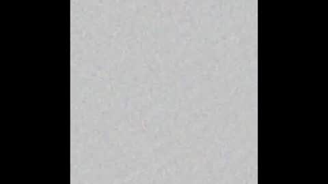 Ely online show from October 2025 11:29:02 AM