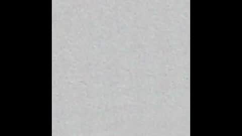 Ely online show from October 2025 11:40:01 AM