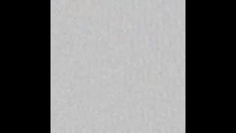 Ely online show from October 2025 11:35:01 AM
