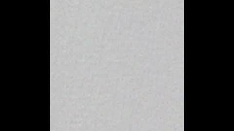 Ely online show from October 2025 11:33:02 AM