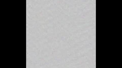 Ely online show from November 2025 11:20:01 AM