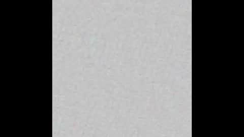 Ely online show from November 2025 11:32:02 AM