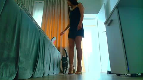 Ely online show from February 2025 10:21:02 AM