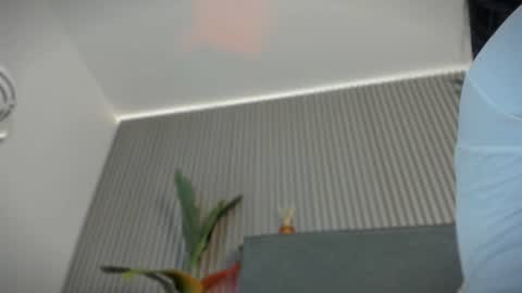 emelie_89 online show from July 2026 11:48:02 AM