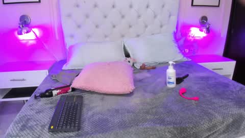 Snapshot of emelie_ch_ chatting on December 2024 05:42:02 AM Emily online show from December 2024 05:42:02 AM