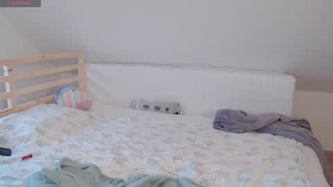 Snapshot of emerald_kittycat chatting on November 2025 01:54:02 PM just me online show from November 2025 01:54:02 PM