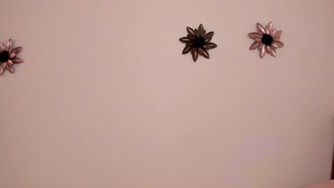 Snapshot of emillygonzalez chatting on February 2025 06:33:01 PM . . online show from February 2025 06:33:01 PM