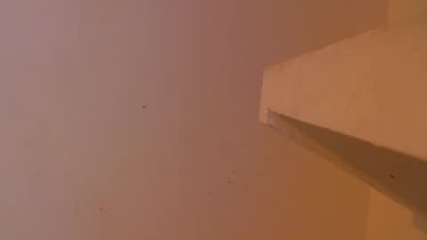 emily308876 online show from May 2026 12:35:02 PM