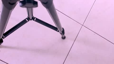 emily_castillo1_ online show from November 2025 03:23:02 AM