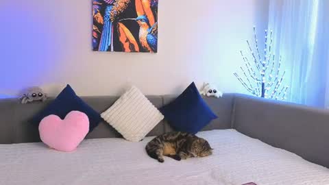 Emily Heels online show from June 2026 11:47:02 AM