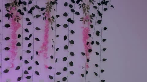 Emily online show from January 2025 02:38:02 AM