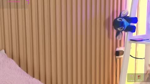 Emily online show from March 2026 12:32:02 PM