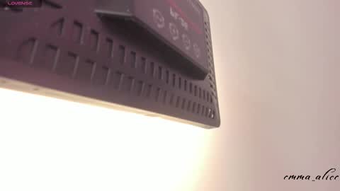 Alice online show from October 2025 12:05:01 PM