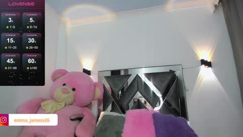 Snapshot of emma_jamess chatting on January 2025 04:19:01 AM emma_jamess online show from January 2025 04:19:01 AM