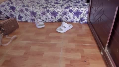 Snapshot of emma_lean chatting on October 2025 02:16:01 PM whises lits online show from October 2025 02:16:01 PM