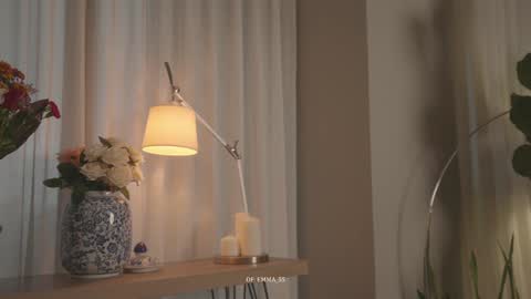 Snapshot of emma_lu1 chatting on October 2025 02:48:01 PM emma_lu1 online show from October 2025 02:48:01 PM