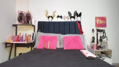          online show from February 2026 12:33:01 PM