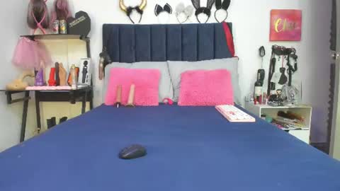          online show from June 2026 12:26:02 PM