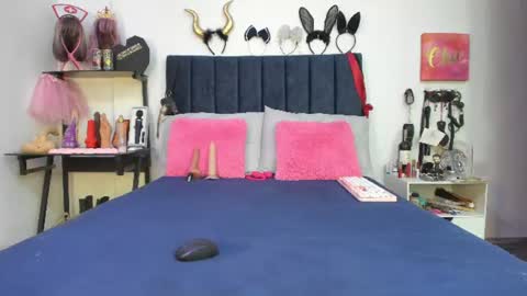          online show from July 2026 12:42:02 PM