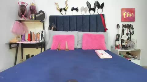          online show from July 2026 12:54:02 PM