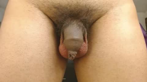 Snapshot of engiel_phoenix chatting on January 2025 11:46:01 AM Engiel phoenix instagram engiel 13 online show from January 2025 11:46:01 AM