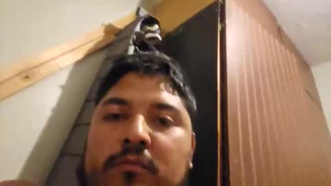 engineer_model_2022 online show from March 2026 04:25:02 AM