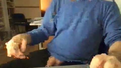 englefield online show from December 2024 07:46:01 AM