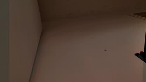 Snapshot of enzo_steel chatting on November 2025 07:37:01 PM enzo_steel online show from November 2025 07:37:01 PM