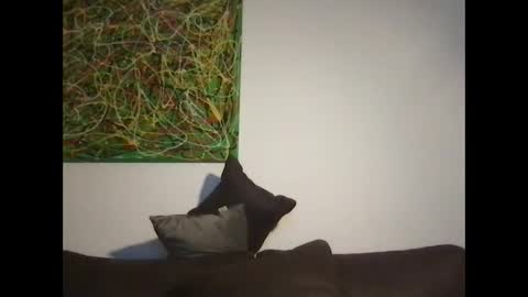 Snapshot of erik_69_69 chatting on October 2025 05:14:01 PM erik_69_69 online show from October 2025 05:14:01 PM