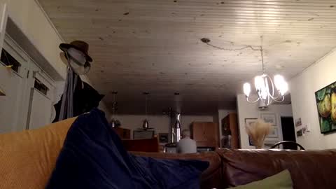 Snapshot of erostalk chatting on December 2024 01:59:01 AM eros online show from December 2024 01:59:01 AM