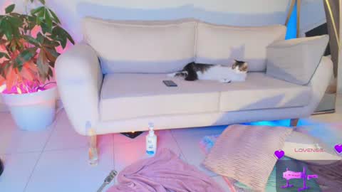 TINY  online show from June 2026 10:15:01 AM