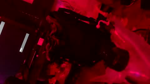 esc del online show from December 2024 07:49:01 PM