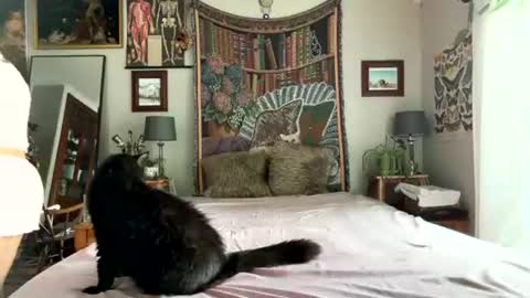 Snapshot of esi_cb chatting on July 2026 11:56:01 AM Esi online show from July 2026 11:56:01 AM