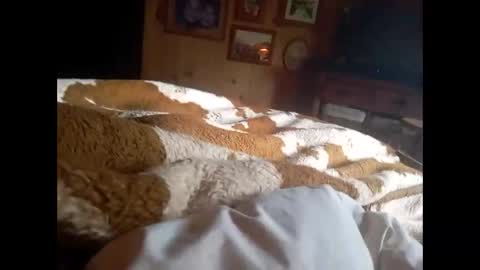 Snapshot of especuloshumeantes chatting on October 2025 11:20:02 AM Gea y Uranus online show from October 2025 11:20:02 AM