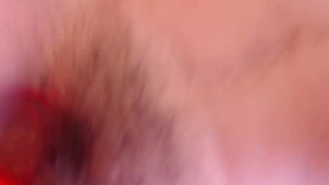 Snapshot of estelamaris1 chatting on January 2025 12:28:02 PM estelamaris online show from January 2025 12:28:02 PM