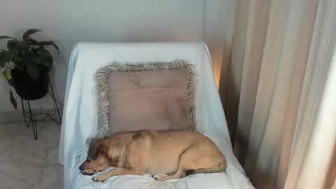 - E S T R E L L A  M I L F - online show from October 2025 04:10:01 AM