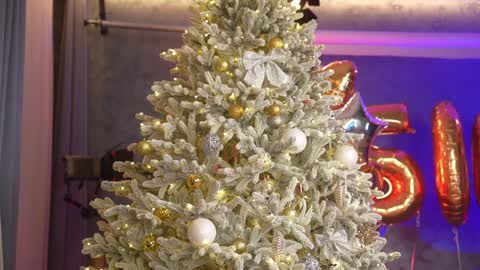 Snapshot of eva_fashionista chatting on December 2024 06:50:02 PM Eva online show from December 2024 06:50:02 PM