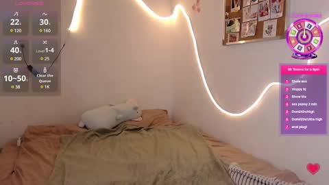 eva and tommie online show from February 2025 08:27:02 AM