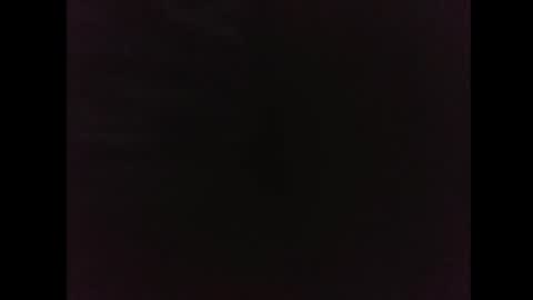 Snapshot of evandro104020 chatting on October 2025 04:53:02 AM evandro104020 online show from October 2025 04:53:02 AM