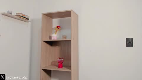 Snapshot of evarotic chatting on March 2025 02:14:02 AM Eva online show from March 2025 02:14:02 AM